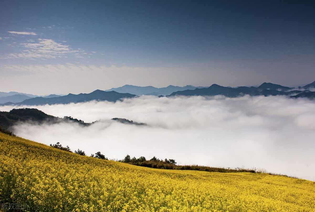 淮南热浸塑电力涂塑钢管