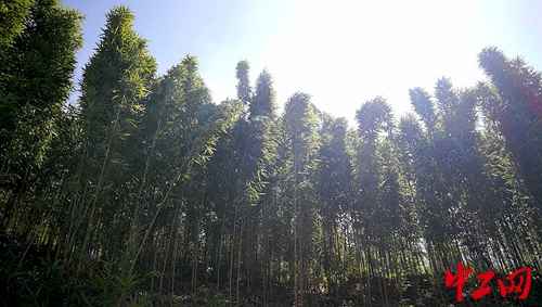 奥仁格管道：肇庆热浸塑涂塑钢管批发，助力怀集七甲村脱贫攻坚战