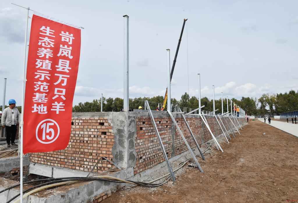 踔厉奋发千帆竞 奋楫笃行逐浪高——忻州市2022年项目观摩检查综述