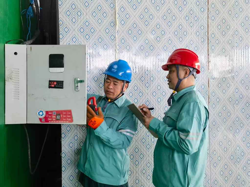 和润电力管 “红灯笼”下话振兴——“柿子沟”丰收一线见闻 和润电力管 “红灯笼”下话振兴——“柿子沟”丰收一线见闻