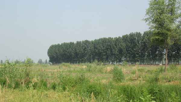 口述中国｜雄安⑤知鱼善捕的老镇长：休渔期监管要到位