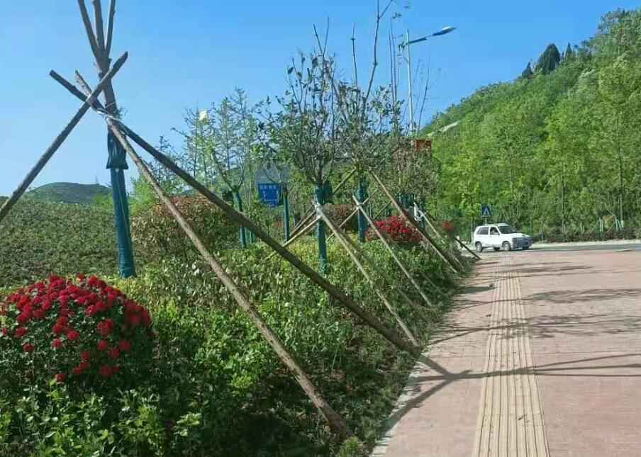 电力管沟与管涵建设：商州区园林绿化项目的高效推进