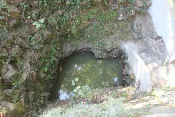 探索无锡古井：每一口井都是历史的活化石