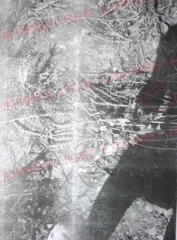 奥仁格管道安全警示:高压垂钓事故全解析 奥仁格管道安全警示:高压垂钓事故全解析