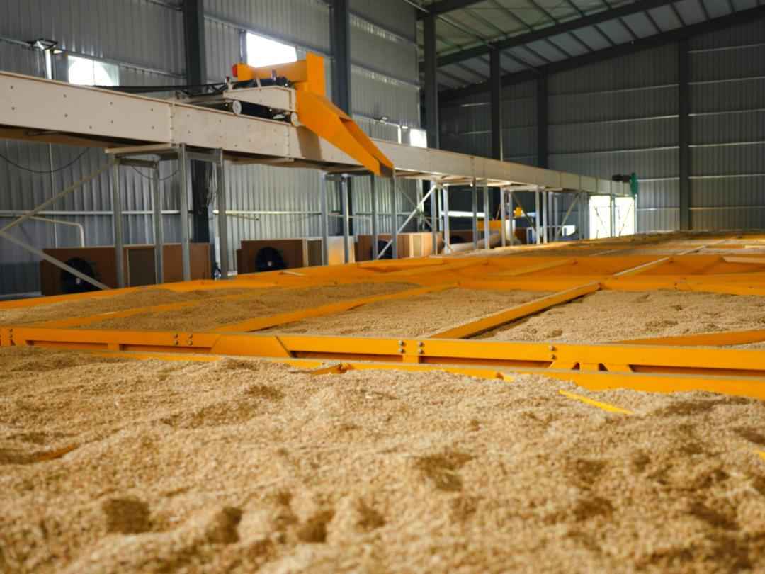 长汀HFB电力管供应:满格电力护航晚稻抢烘归仓 长汀HFB电力管供应:满格电力护航晚稻抢烘归仓